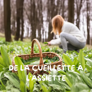 Atelier cueillette plantes sauvages – Journée en Savoie & Haute-Savoie