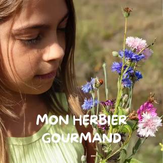 Atelier familial "Mon herbier gourmand"