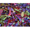 Tisane "Au coin du feu"