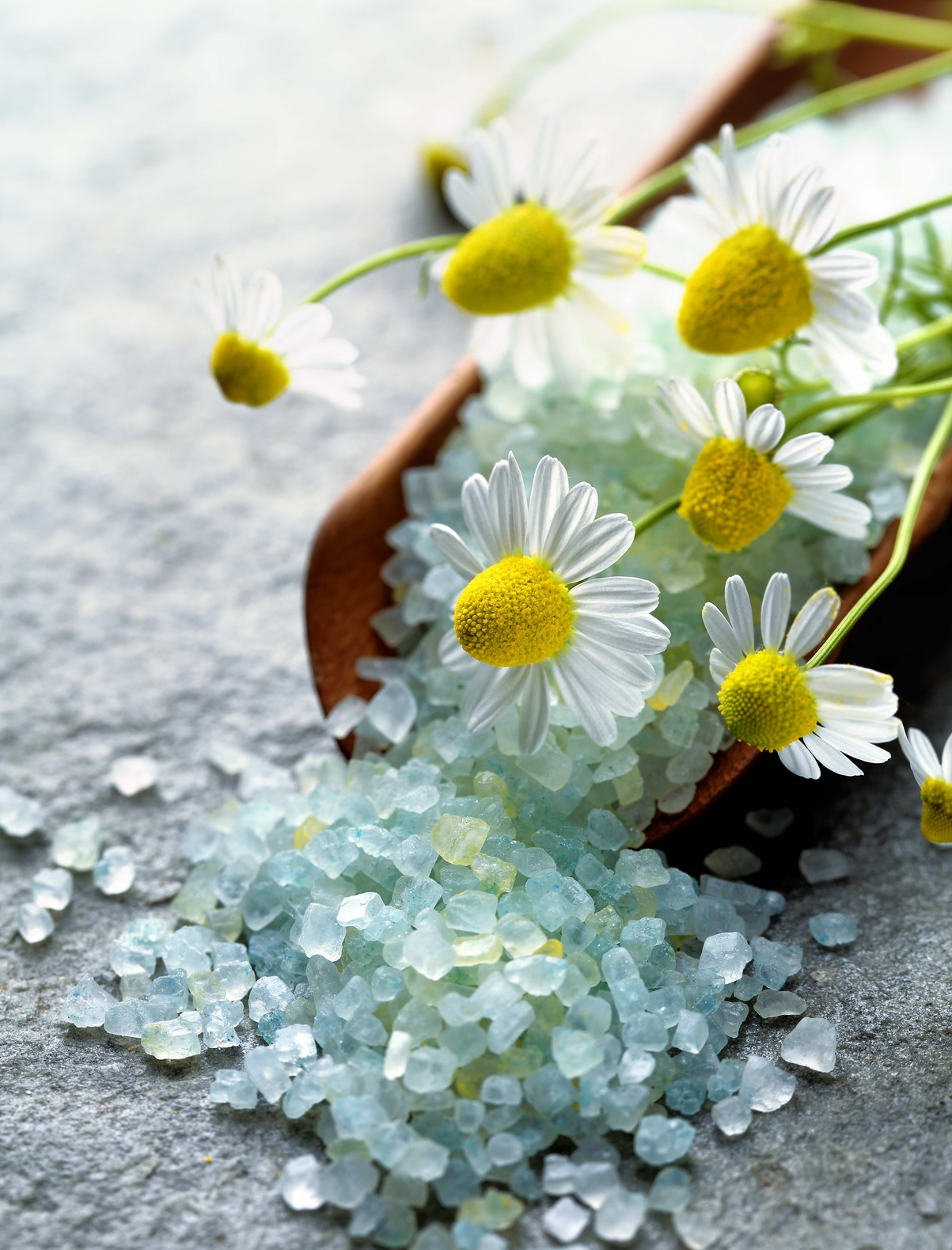 Fabrication artisanale de sirops et baumes médicinaux