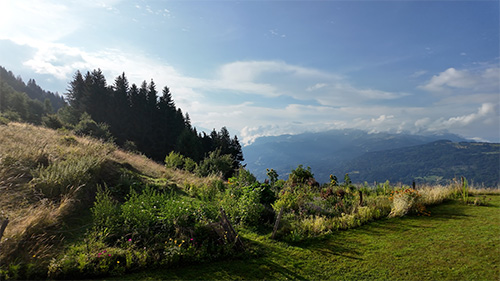 Préparation de recettes à base de plantes sauvages pendant l’atelier