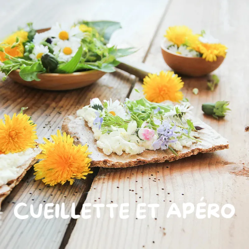 Soirée "Cueillette et Apéro"